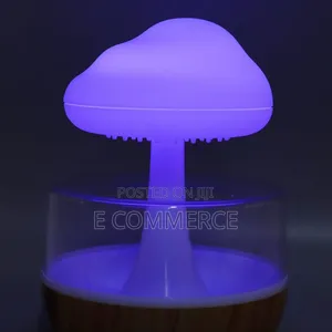 Cloud Rain Humidifier