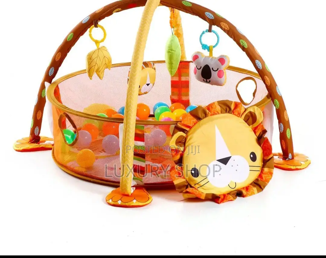 4 in 1 Baby Play Gym With Soft Padding Mat and Arch Design