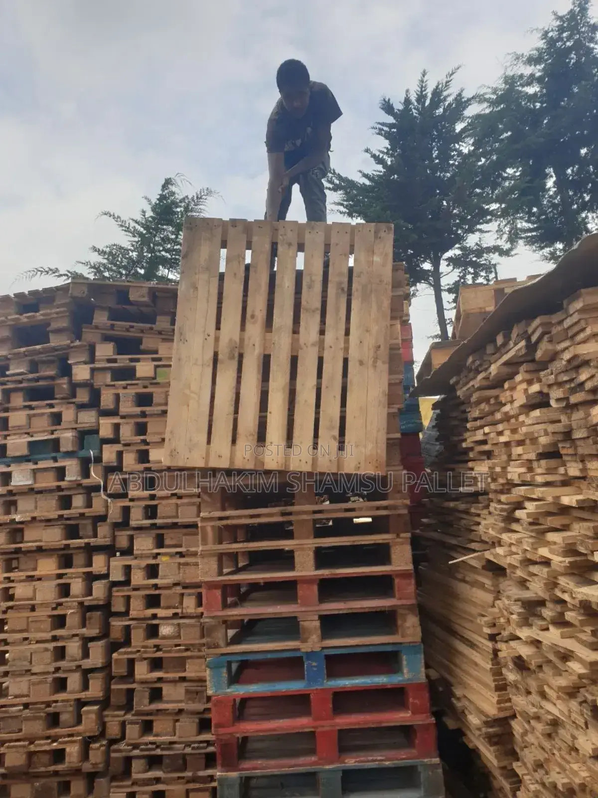 Pallet 100*120 Standard