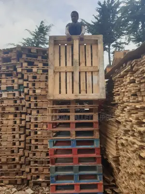 Pallet 100*120 Standard