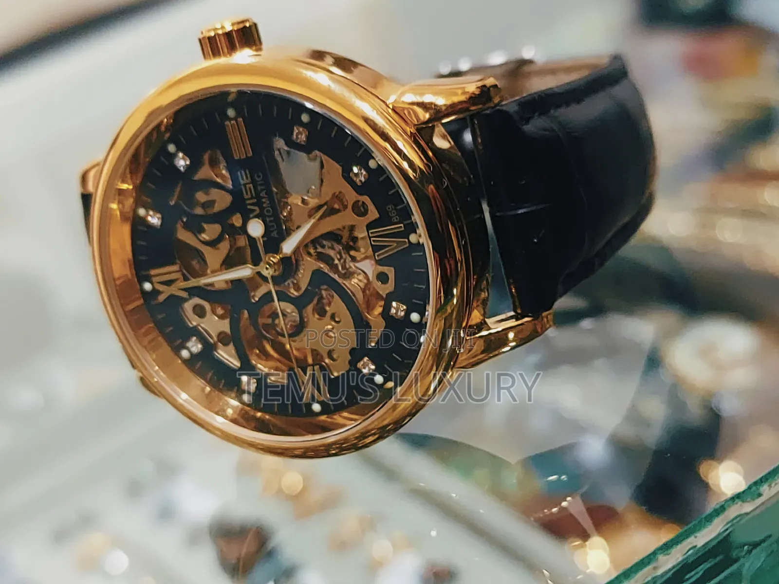 Tevise Automatic Leather Watch