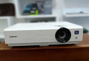 Sony Projector VPL-DX100