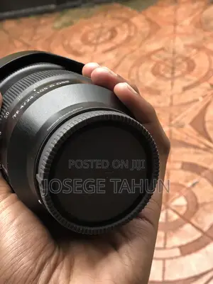 Sony 24-105 G Lens