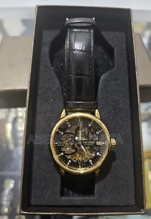 Tevise Luxury Men's Watch,