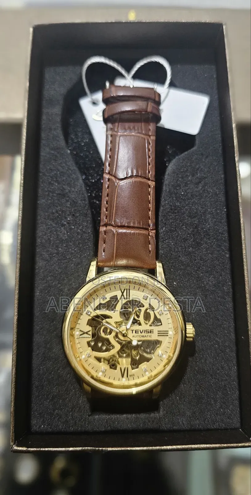 Tevise Luxury Men's Watch,