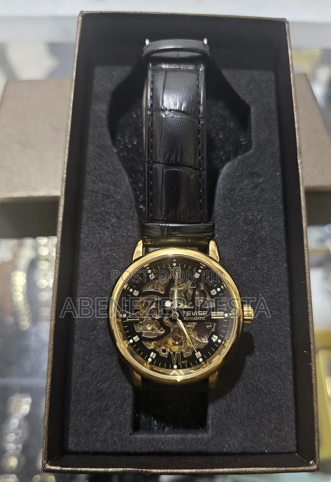 Tevise Luxury Men's Watch,