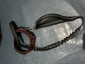 Dog Leashes