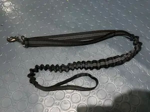 Dog Leashes