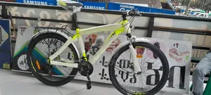 Original Phoenix Bike