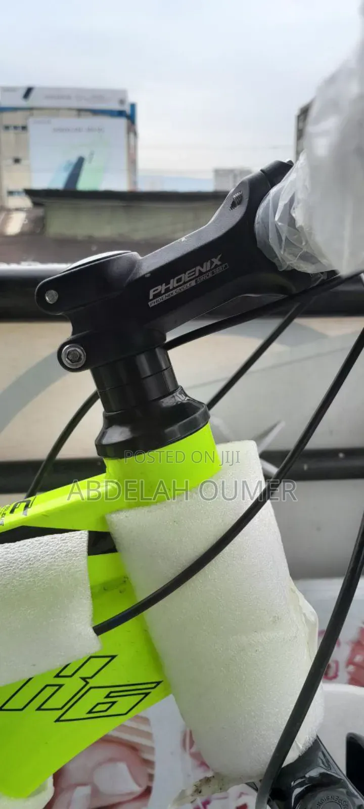 Original Phoenix Bike