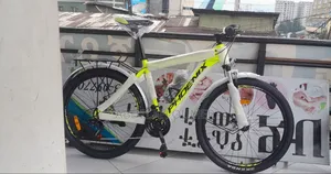 Original Phoenix Bike