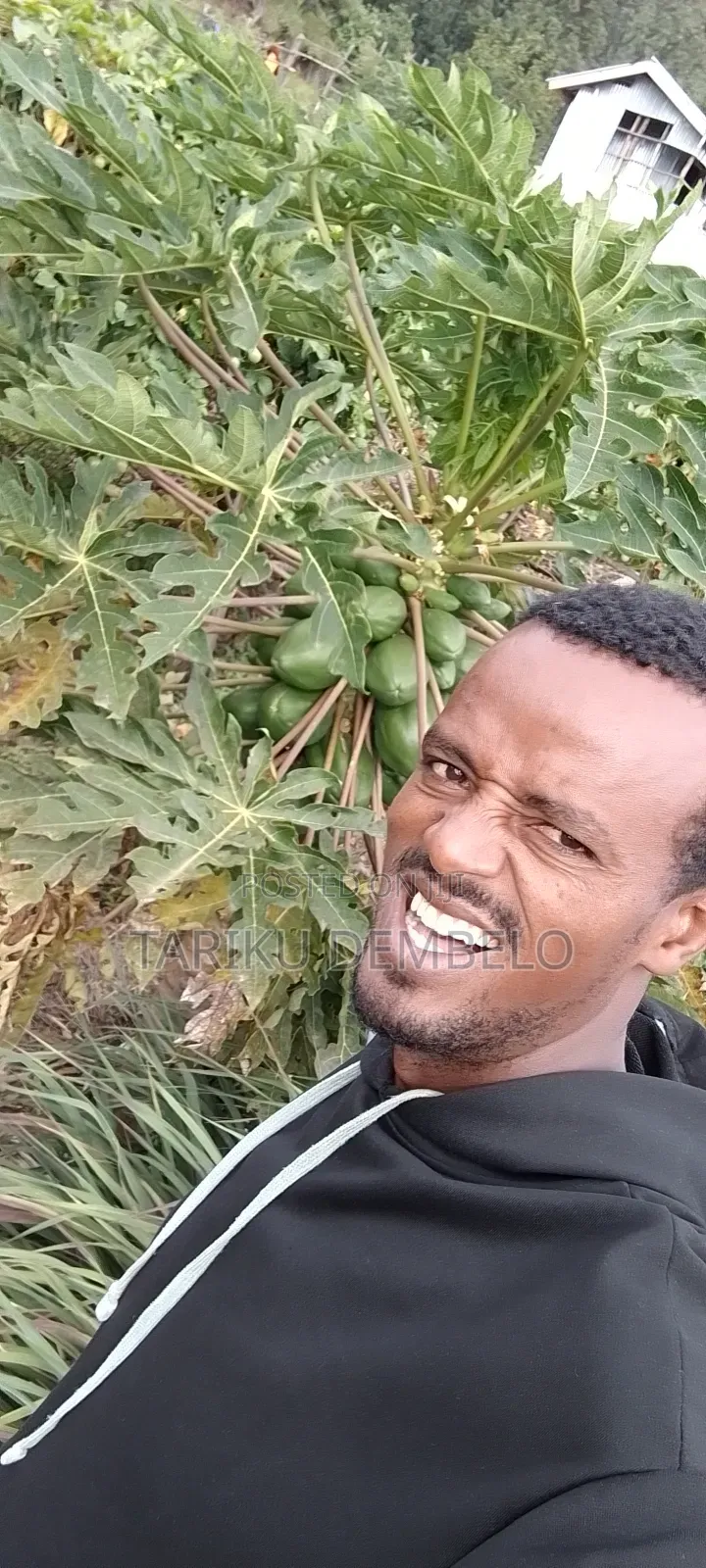 Solar Equipment Sales