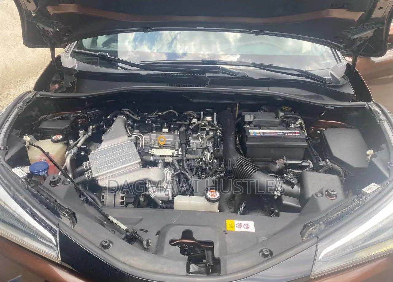 Toyota C-HR 2017 Brown