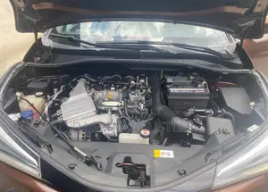 Toyota C-HR 2017 Brown