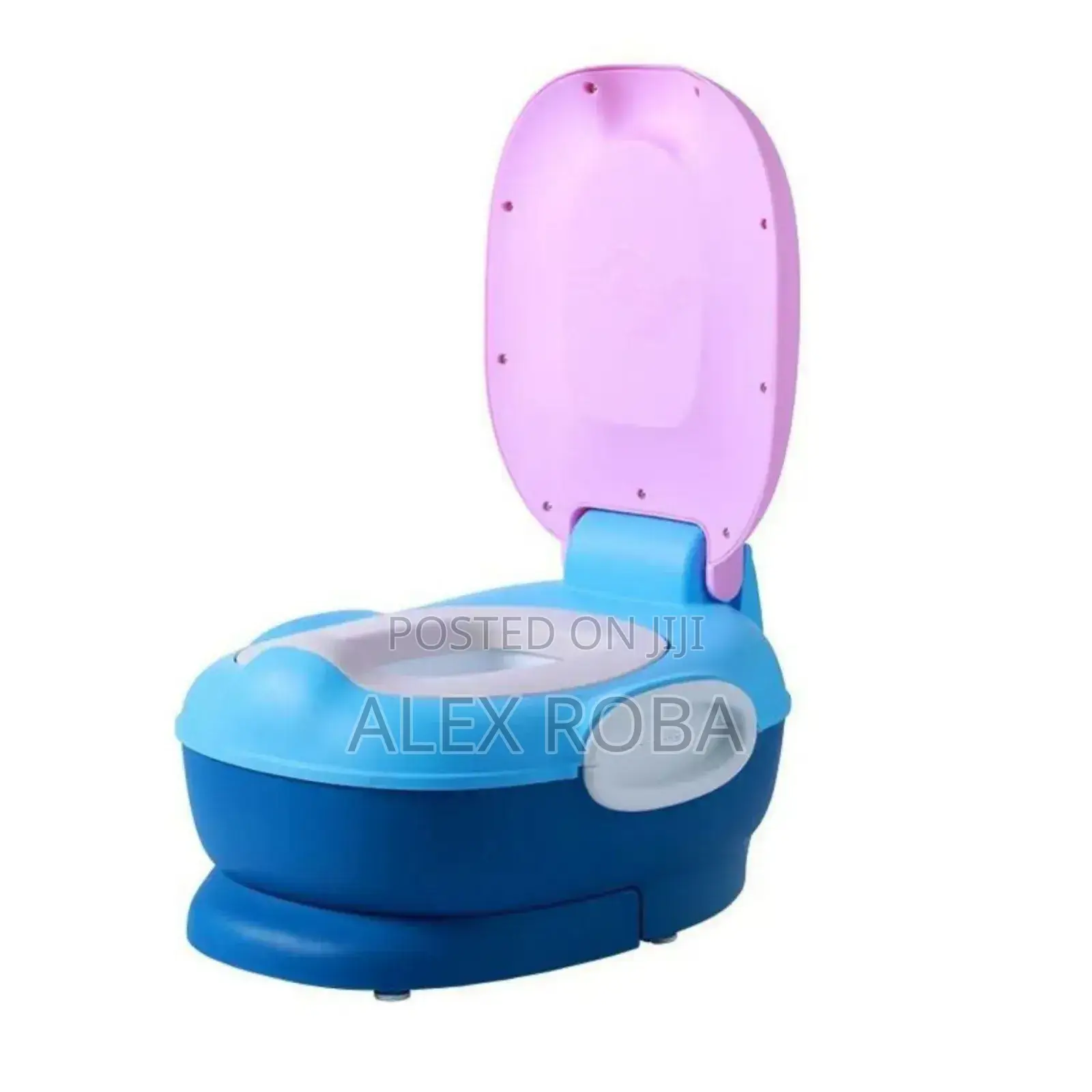 2in 1 Potty Training Seat