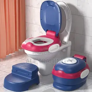 2in 1 Potty Traning Seat