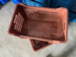 Plastic Box In Bulk