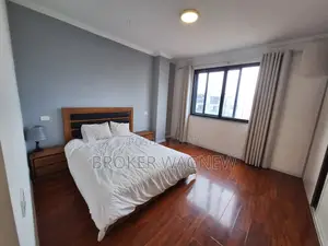 Furnished 3bdrm Apartment in Kirkos for rent