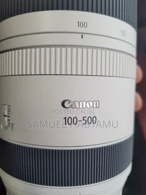 Photo - Lense Zebra 100-500