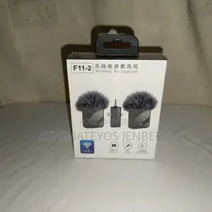 Photo - Wireless Microphone