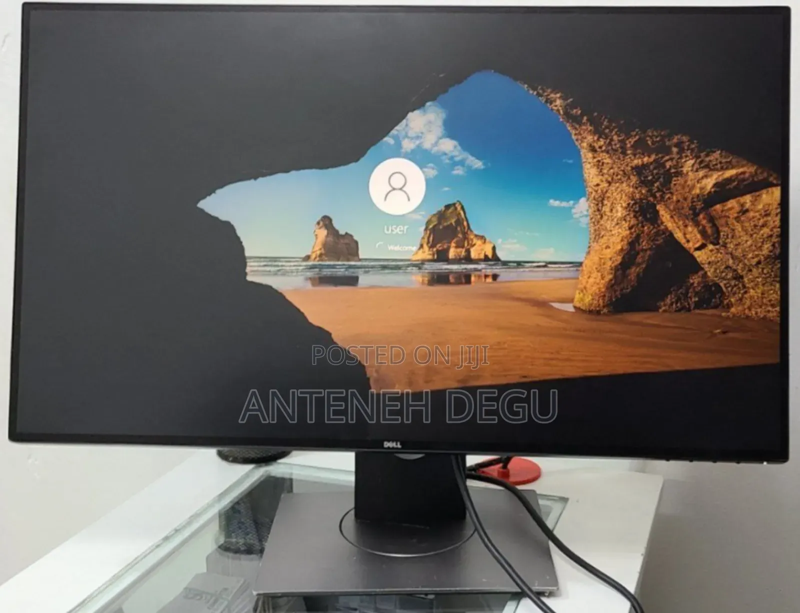 Dell Fremless Monitor