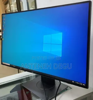 Dell Fremless Monitor