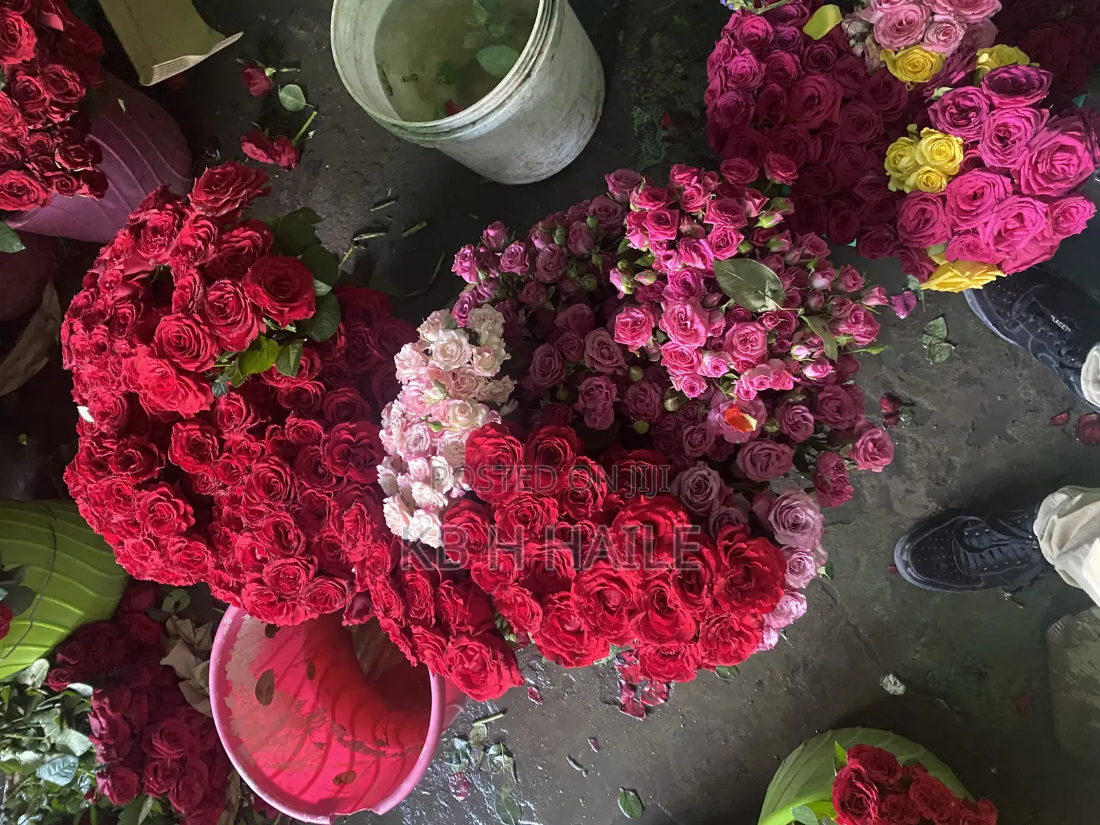 Nor Flower(EXPORT STANDARD FLOWERS)