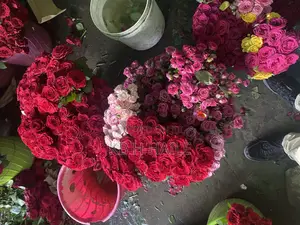 Photo - Nor Flower(EXPORT STANDARD FLOWERS)