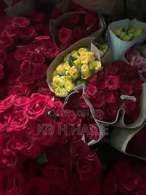 Nor Flower(EXPORT STANDARD FLOWERS)