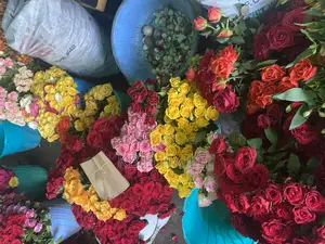 Nor Flower(EXPORT STANDARD FLOWERS)