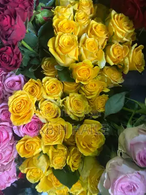 Nor Flower(EXPORT STANDARD FLOWERS)