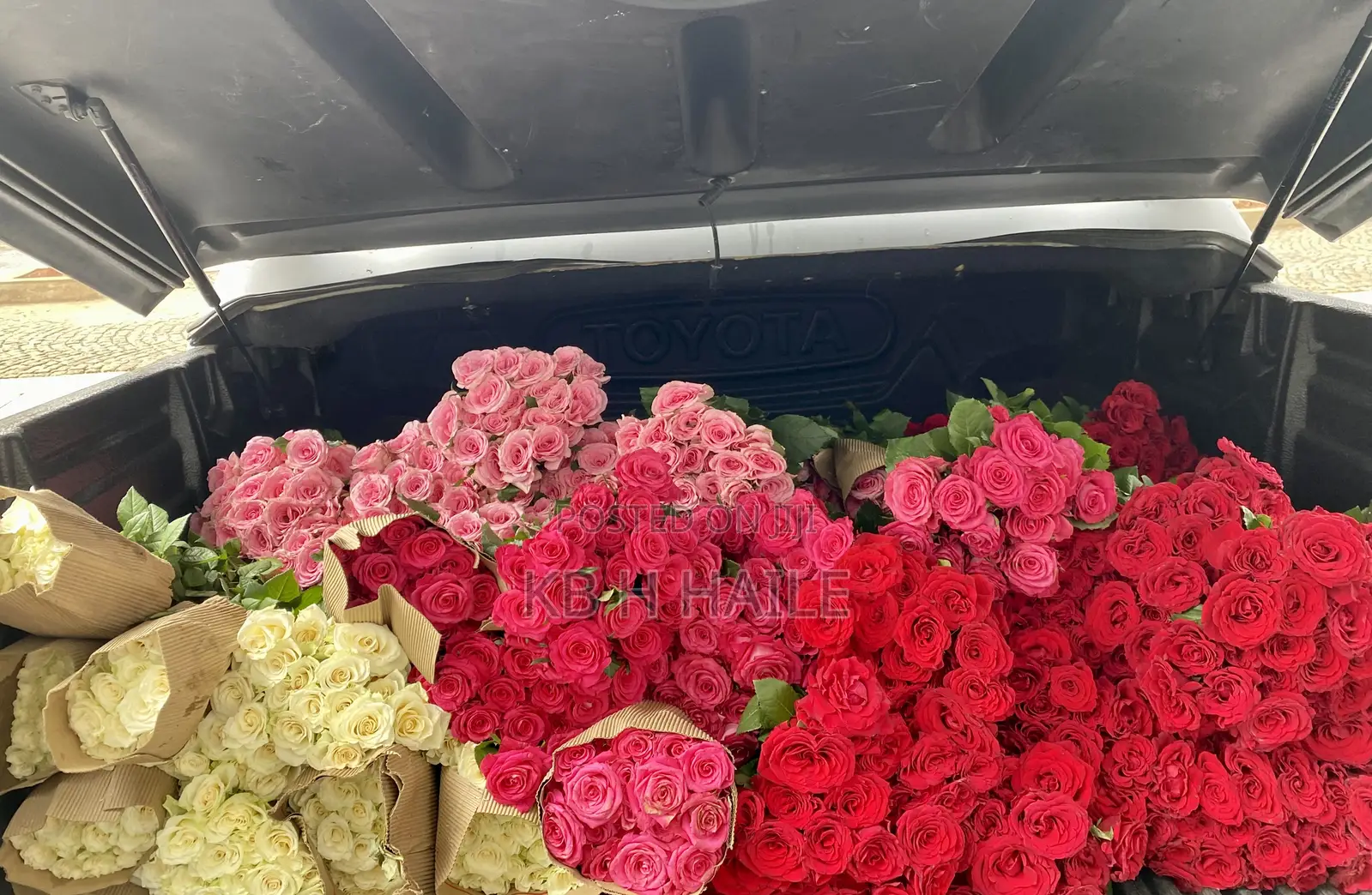 Nor Flower(EXPORT STANDARD FLOWERS)