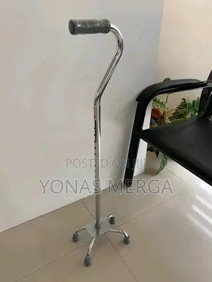 Walking Stick/Injuries or Disabled,As an Aid During Recovery