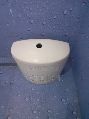Toilet Sink