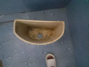 Toilet Sink