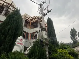 Photo - Furnished 4bdrm House in Yeka for rent