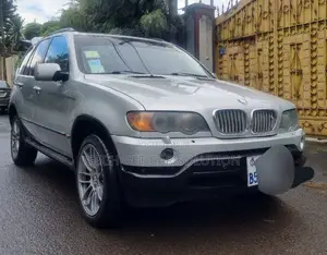 BMW X5 2001 Silver