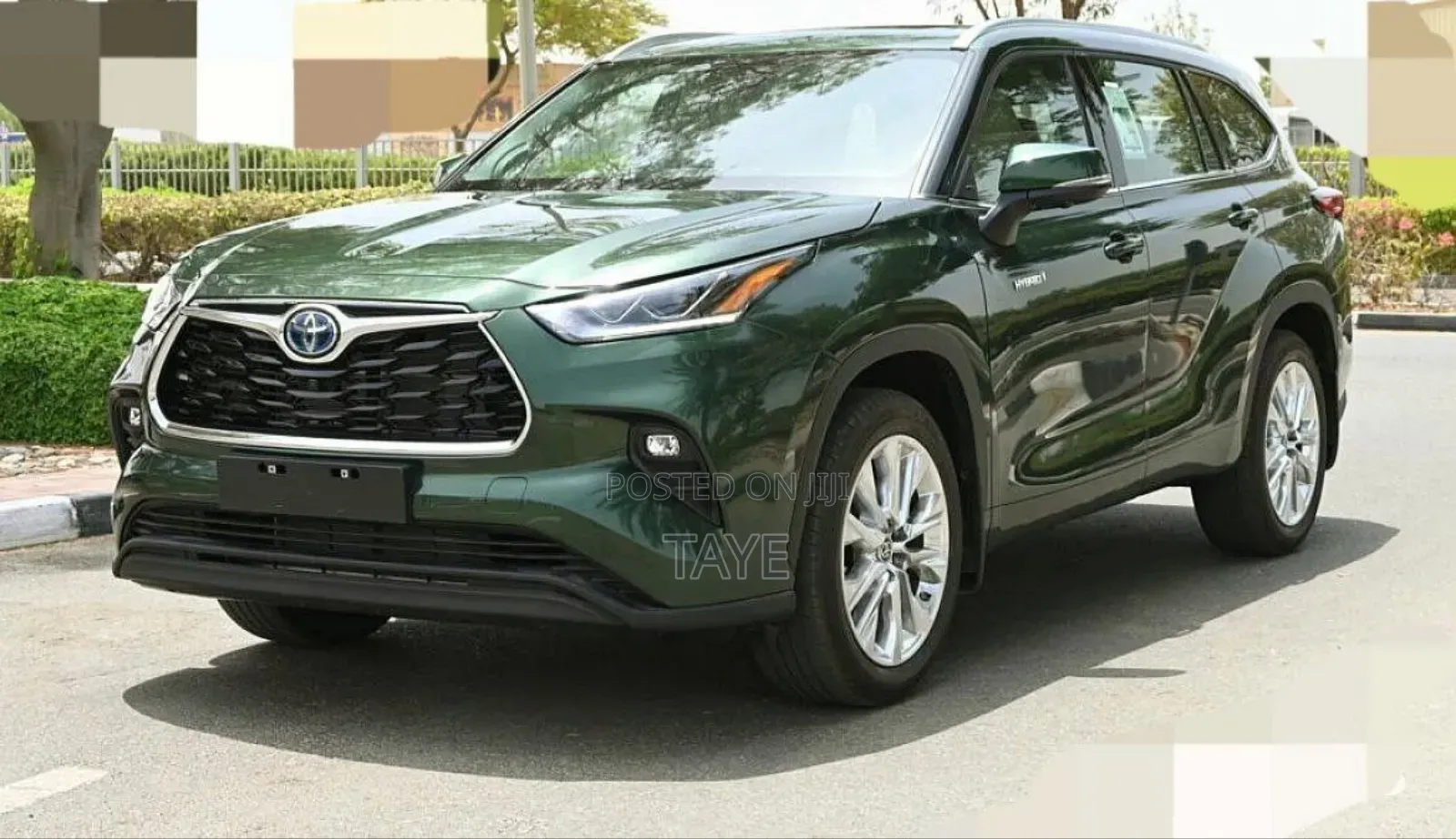 New Toyota Highlander 2023 Green