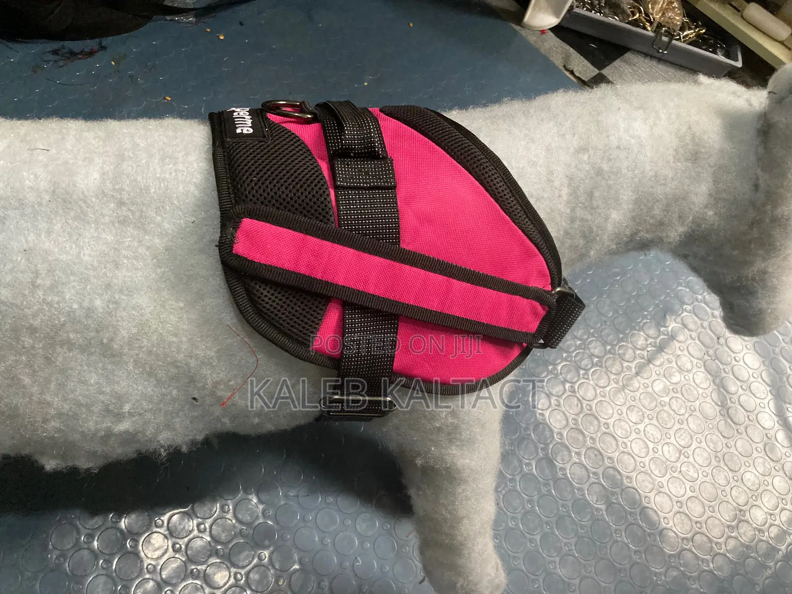 Top Lap Dog Harness