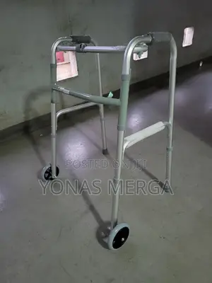 Photo - Elderly Walker- Up and Down Stairs Walker/Exercise Recover