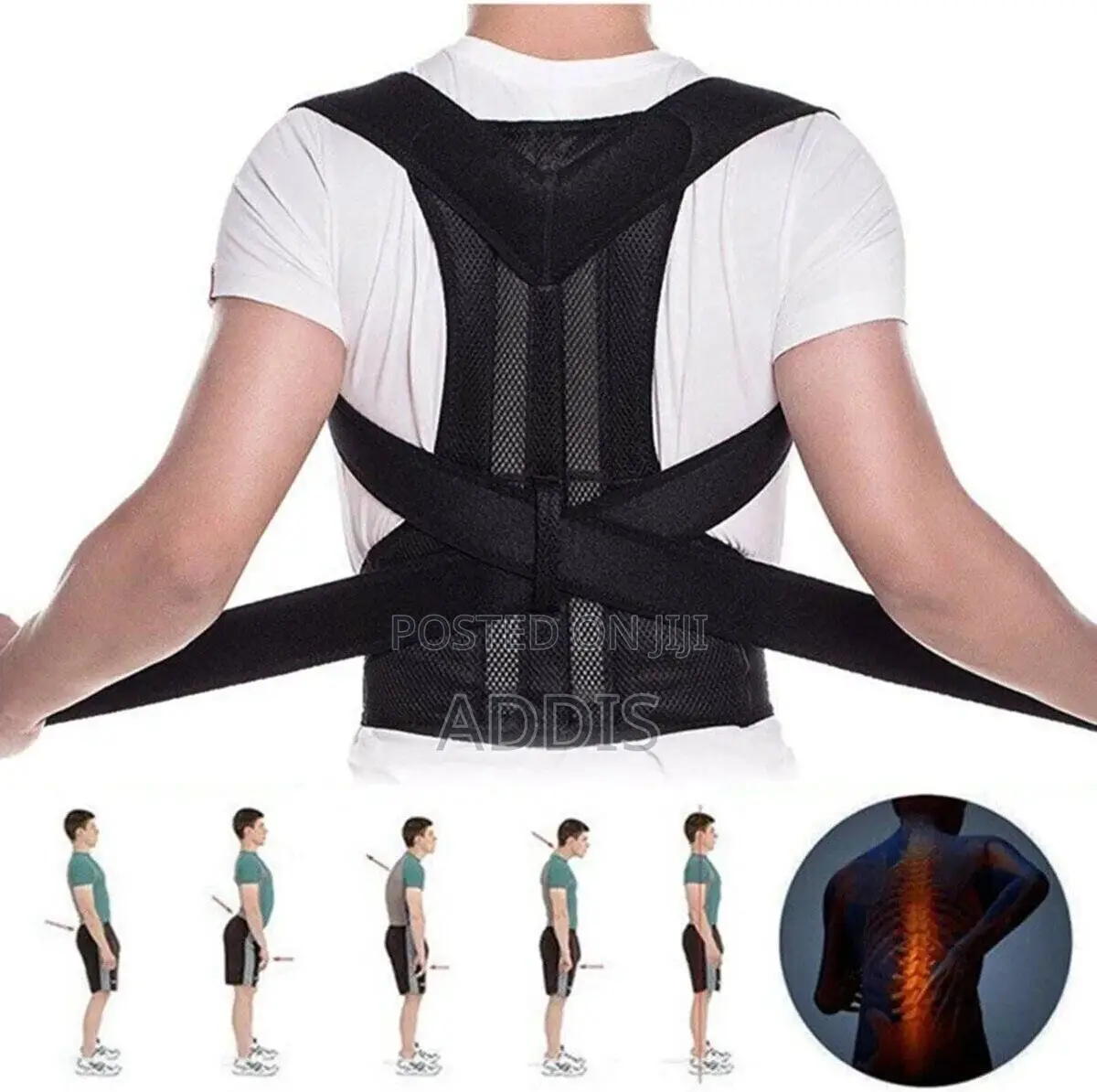 Back Pain Protector