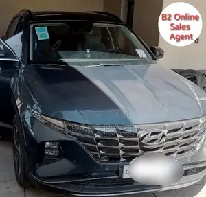 Hyundai Tucson 2023 Blue