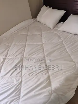 Furnished 2bdrm Apartment in 2Bedroom Luxury, Kirkos for rent