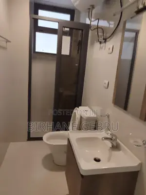 2bdrm Apartment in 2Bedroom Luxury, Kirkos for rent