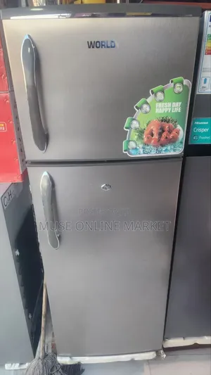 World Refrigerator 300 Model