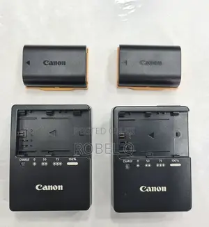 Photo - Original Canon Battery and Charger