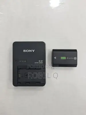 Photo - Original Sony Battery and Charger Np-Fz100