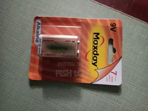Photo - 9V Maxday Alkaline Battery