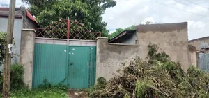 Photo - 2bdrm House in Fkr Grocery Jerba, Adama for sale