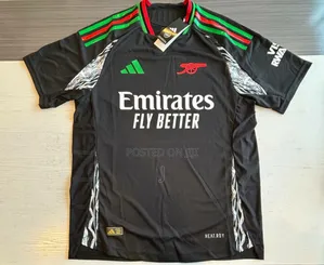 Arsenal 24/25 2nd Kit